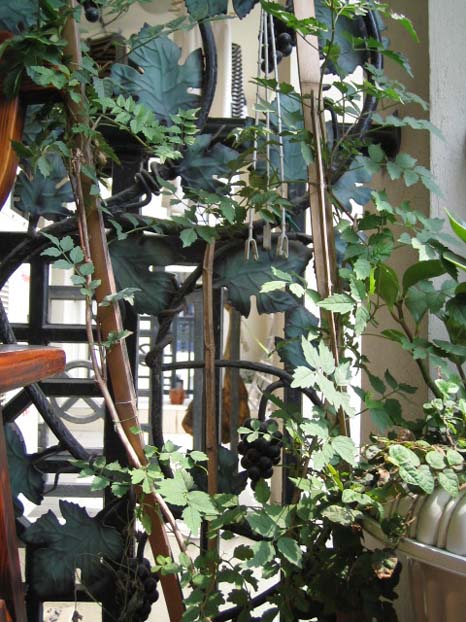 [��ͼ]��̨�����㱨