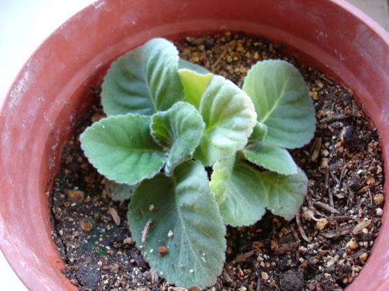 �ҼҵĴ���ͩƷ��