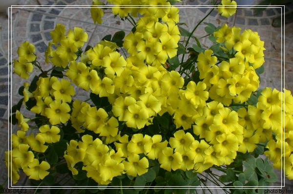 ������С��һ��(3��)������Ǯ��������