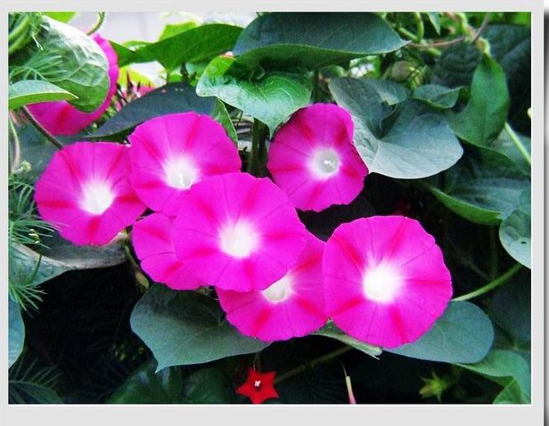 [ԭ��]С������