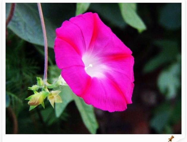 [ԭ��]С������