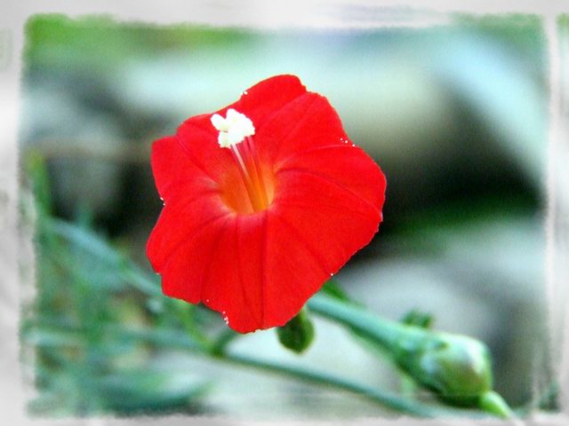 [ԭ��]С������