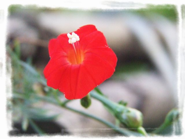 [ԭ��]С������