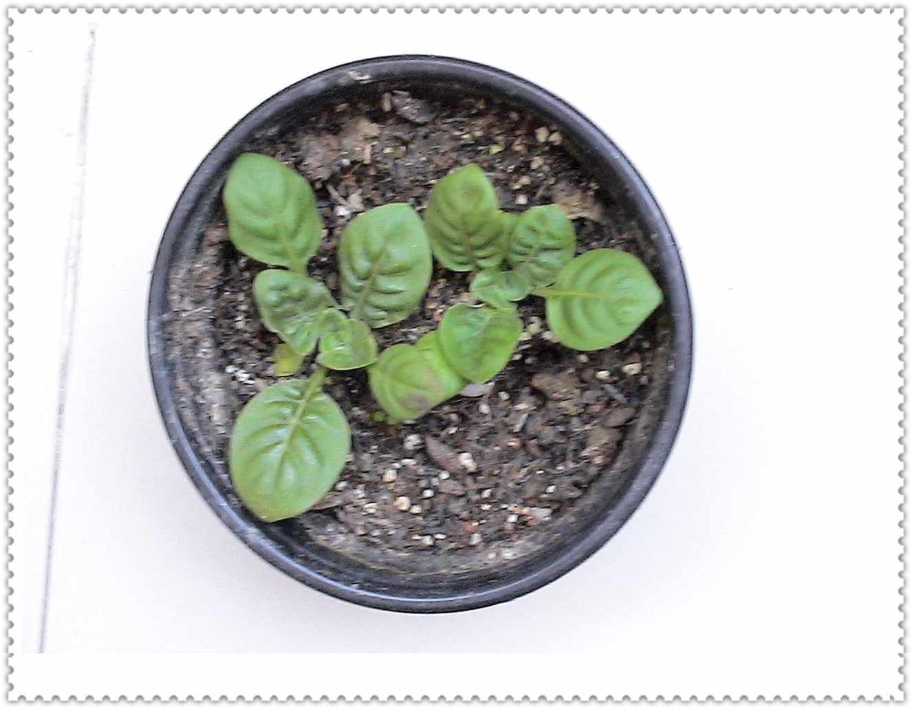 �����ǣ���������ʲô���硣