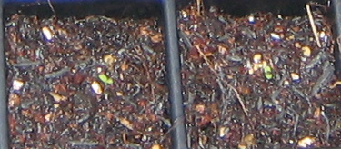 �ﲥҲ���......P13