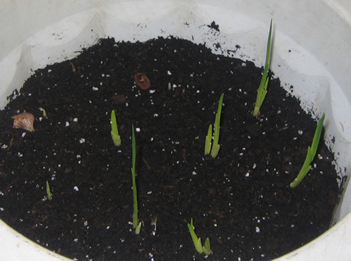 ���������