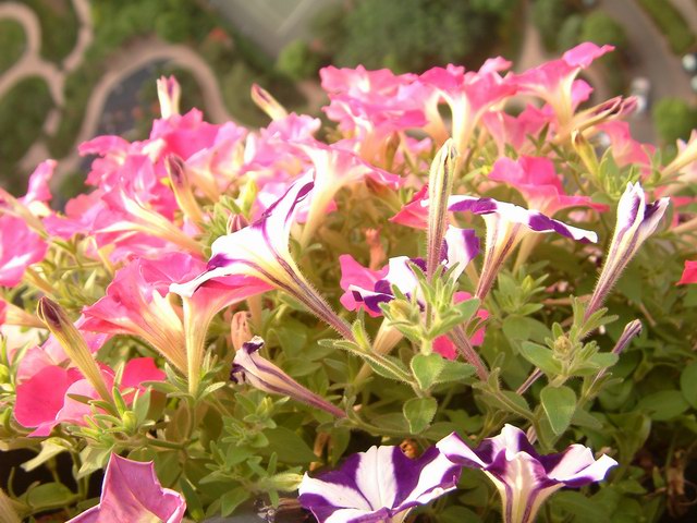 �����������شأ����������㣨����ҳ�������£�