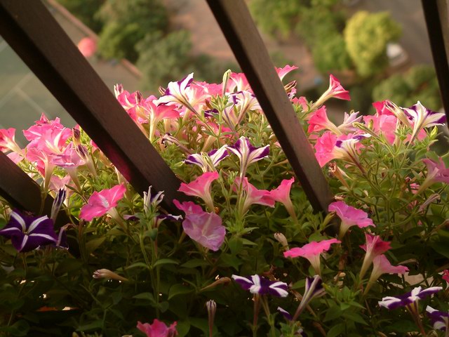 �����������شأ����������㣨����ҳ�������£�