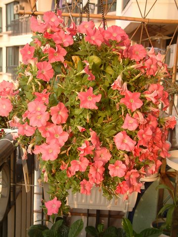 �����������شأ����������㣨����ҳ�������£�