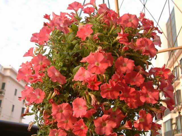 �����������شأ����������㣨����ҳ�������£�