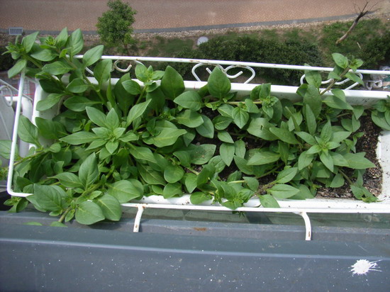 ���İ�ţ���Ϳ����ؼ�����ר����Ʒ���¸�~~