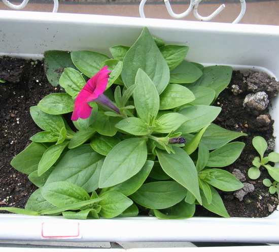 ���İ�ţ���Ϳ����ؼ�����ר����Ʒ���¸�~~