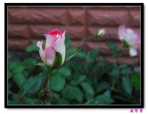 ��������¼���԰:P18�ٹ�