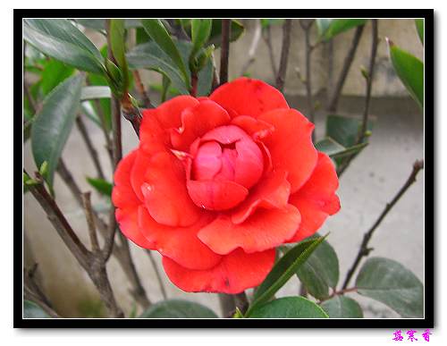 ��������¼���԰:P18�ٹ�