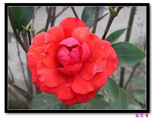 ��������¼���԰:P18�ٹ�