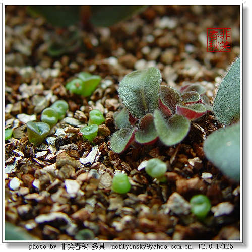 ��ѿ�������������ְ����󣺣���