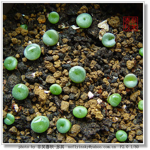 ��ѿ�������������ְ����󣺣���