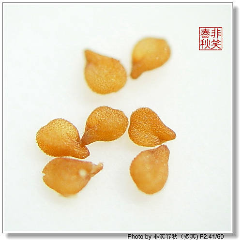 ��ҿ���׬ȡ֮����ƪ