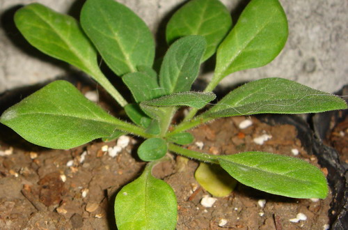 ���İ�ţ���Ϳ����ؼ�����ר����Ʒ���¸�~~