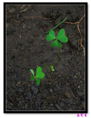 ������!P7:����ʼ��ѿ��