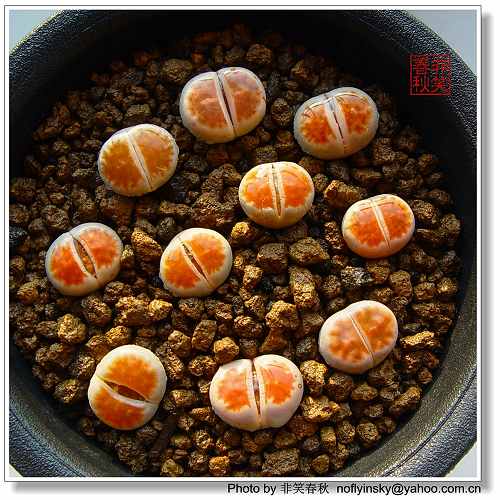 ��ҿ���׬ȡ֮����ƪ