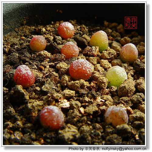 ��ҿ���׬ȡ֮����ƪ