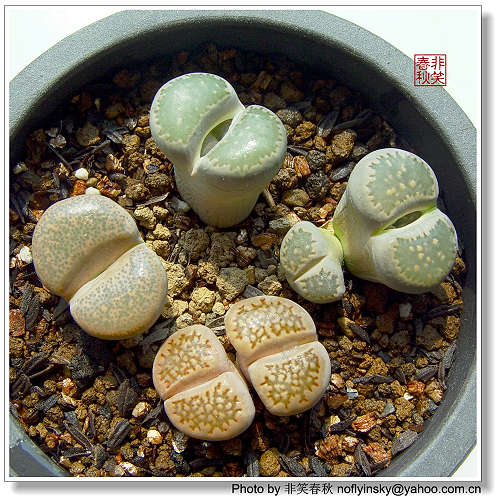 ��ҿ���׬ȡ֮����ƪ