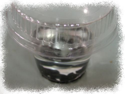 H.calyptratum �G����피t ���N�o�