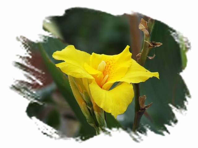 [ԭ��]С������