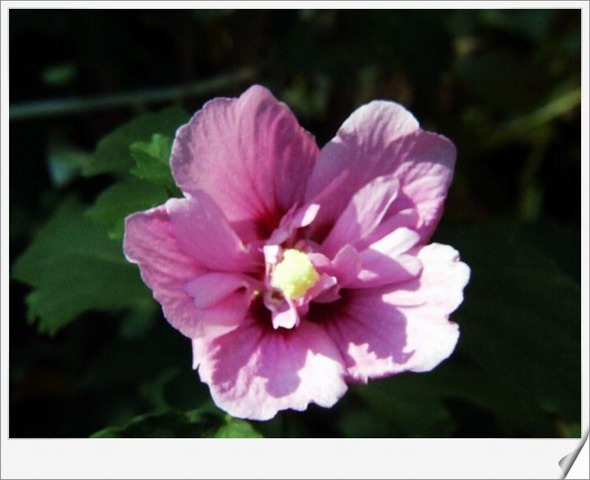 [ԭ��]С������