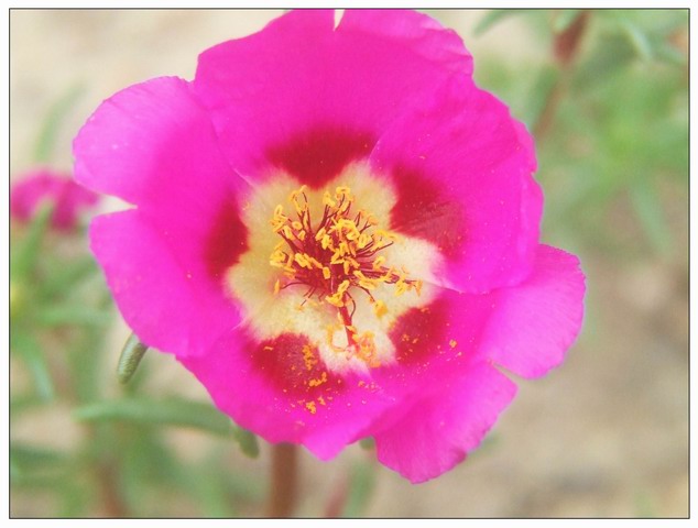 [ԭ��]С������