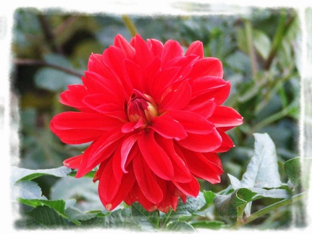 [ԭ��]С������