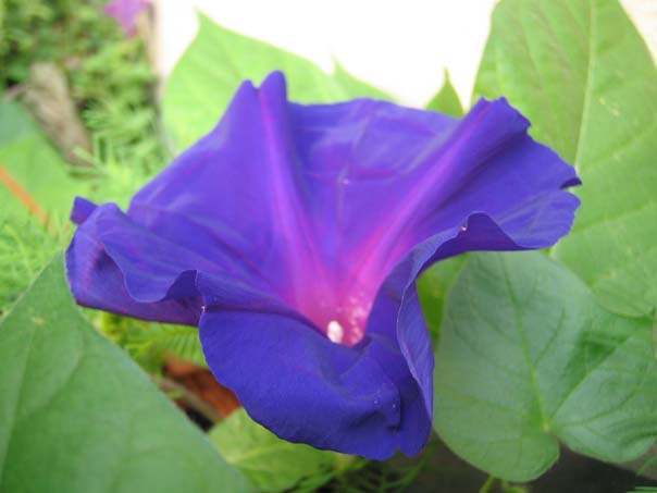 [��ͼ]��̨�����㱨