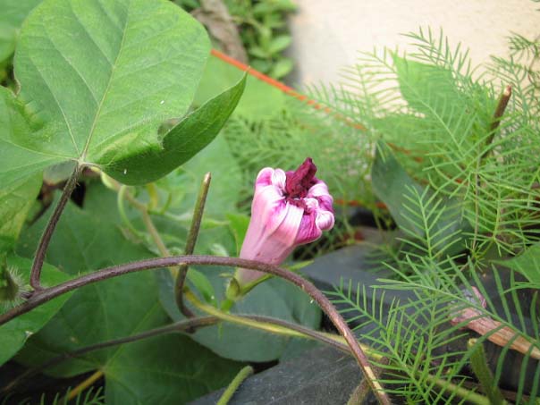 [��ͼ]��̨�����㱨