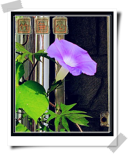 ţ���ܡ���ǣţ�ࣨ�������ͼ��