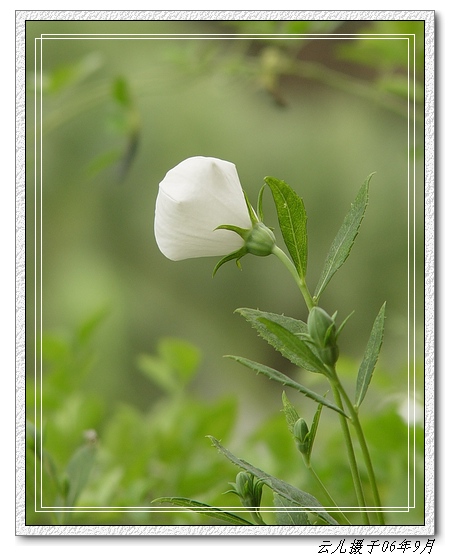 �۵ġ��Ƶġ��׵ġ�����������