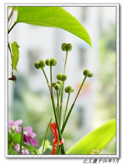 �۵ġ��Ƶġ��׵ġ�����������