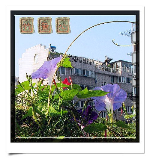 ţ���ܡ���ǣţ�ࣨ�������ͼ��