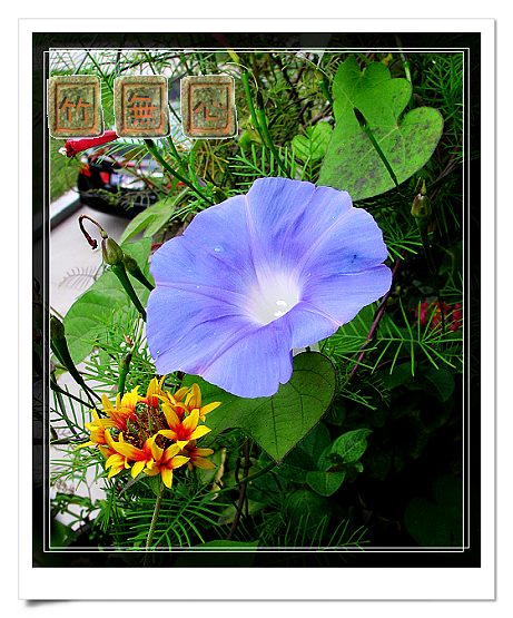 ţ���ܡ���ǣţ�ࣨ�������ͼ��