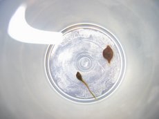 [����]���ҿ�����ʲôС��.лл!