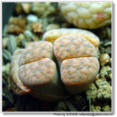 ����һЩ����