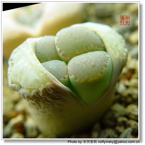 ����һЩ����