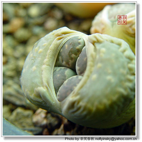 ����һЩ����