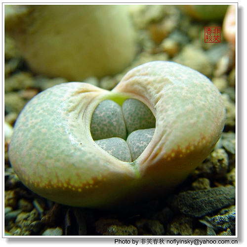 ����һЩ����