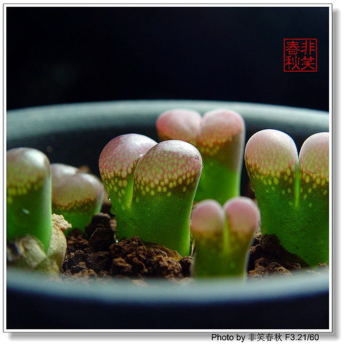 ����һЩ����