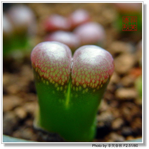 ����һЩ����