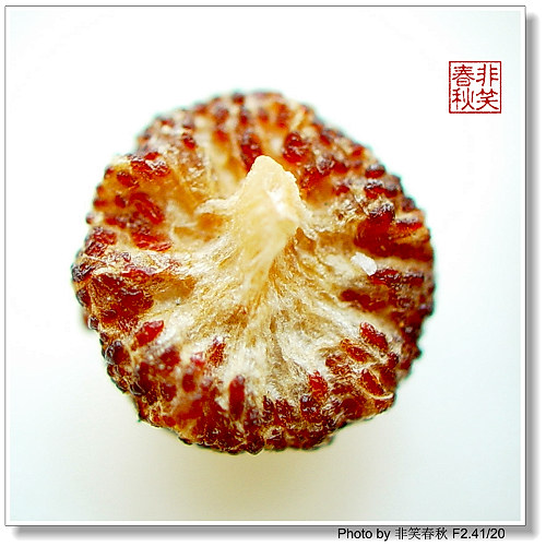 ����һЩ����