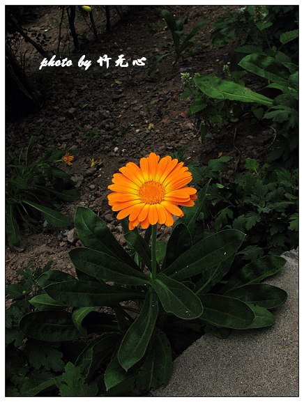 ��δ����