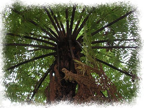 ���N�Nާ������