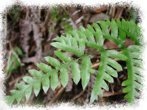 ���N�Nާ������